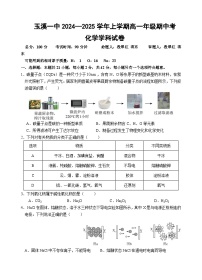 云南省玉溪市一中2024-2025学年高一上学期期中考试化学试题（Word版附答案）