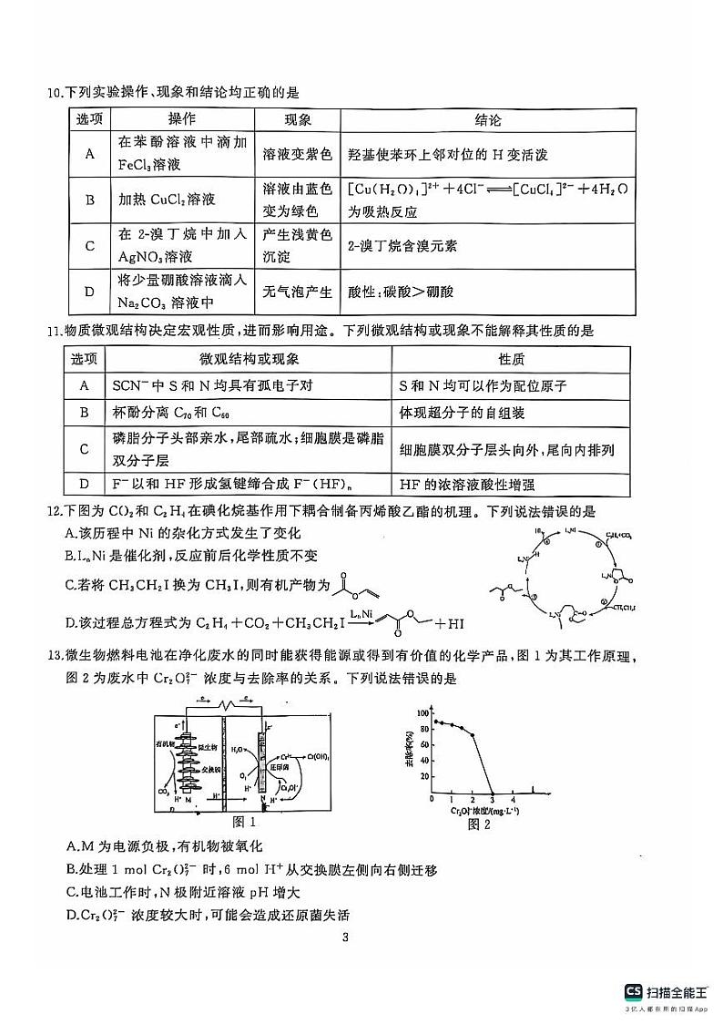 2025武汉江岸区高三上学期11月调考试题化学PDF版含答案第3页
