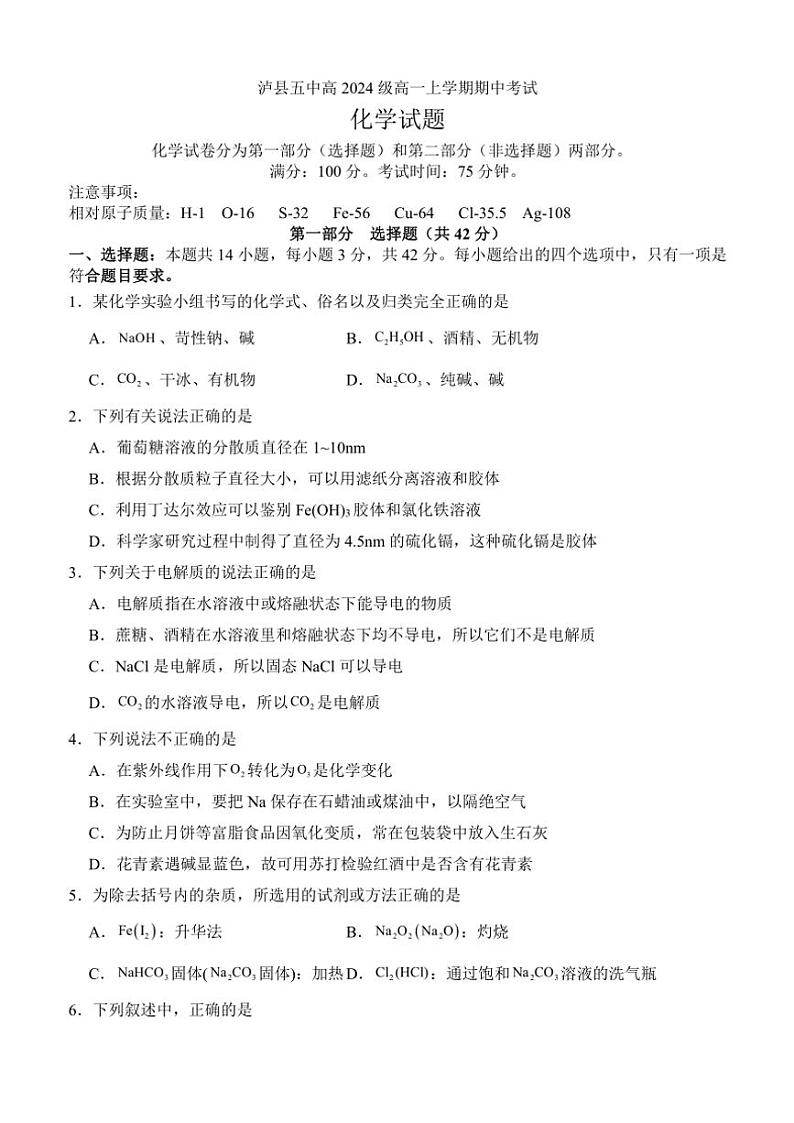 四川省泸县第五中学2024~2025学年高一(上)期中化学试卷第1页