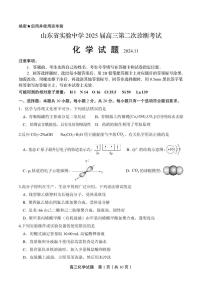 2025山東省實驗中學高三上學期第二次診斷考試化學試題含答案
