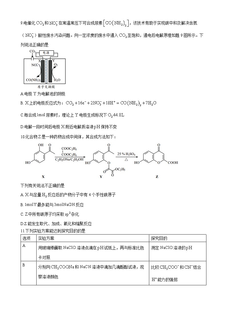 江苏省南通市如东县2024-2025学年高三上学期期中质量监测化学试卷第3页