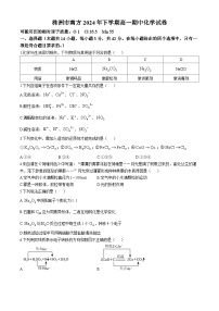 湖南省株洲市南方中学2024-2025学年高一上学期期中考试化学试题(无答案)