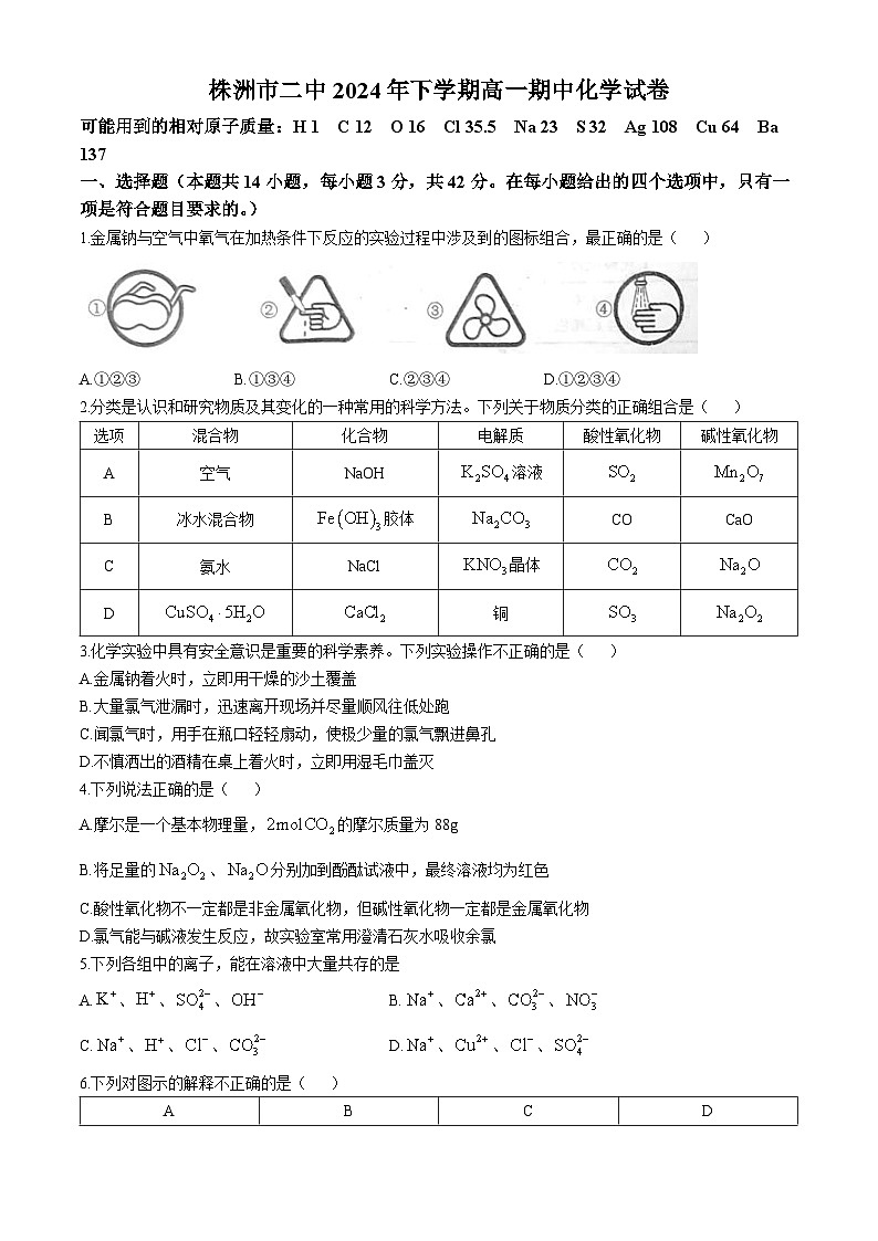 湖南省株洲市第二中学2024-2025学年高一上学期期中考试化学试题第1页