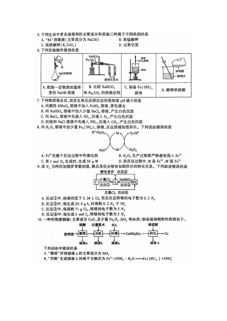 2025届陕西省咸阳市礼泉县高三(上)期中考试(图片版)化学试卷第2页