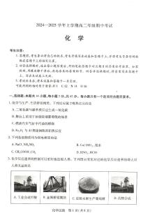 河南省濮阳市2024-2025学年高二上学期期中考试 化学试卷
