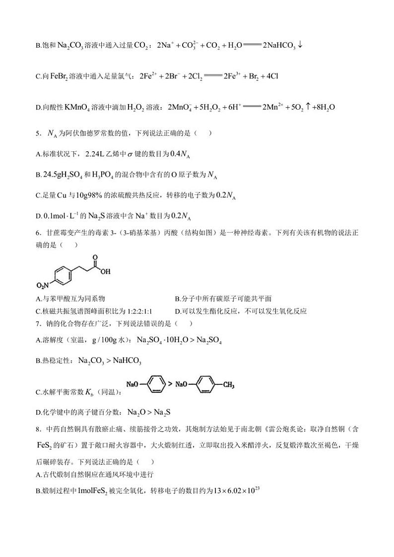 2024~2025学年内蒙古包头市高三(上)期中化学试卷(含答案)02