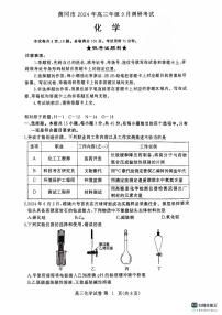 湖北省黄冈市2024-2025学年高三上学期期中化学试卷