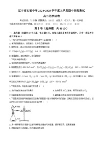 辽宁省实验中学2024-2025学年高二上学期期中考试 化学试卷（含答案）