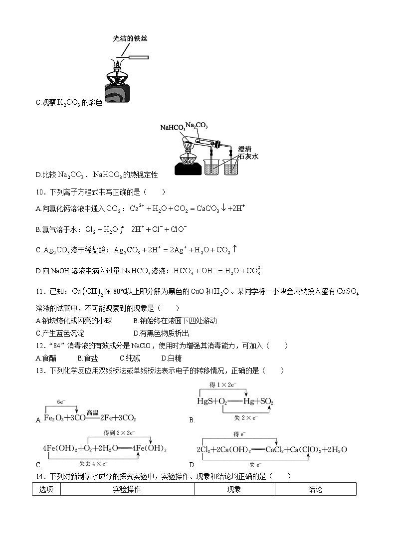广东省深圳市盟校联盟2024-2025学年高一上学期11月期中联考 化学试题第3页