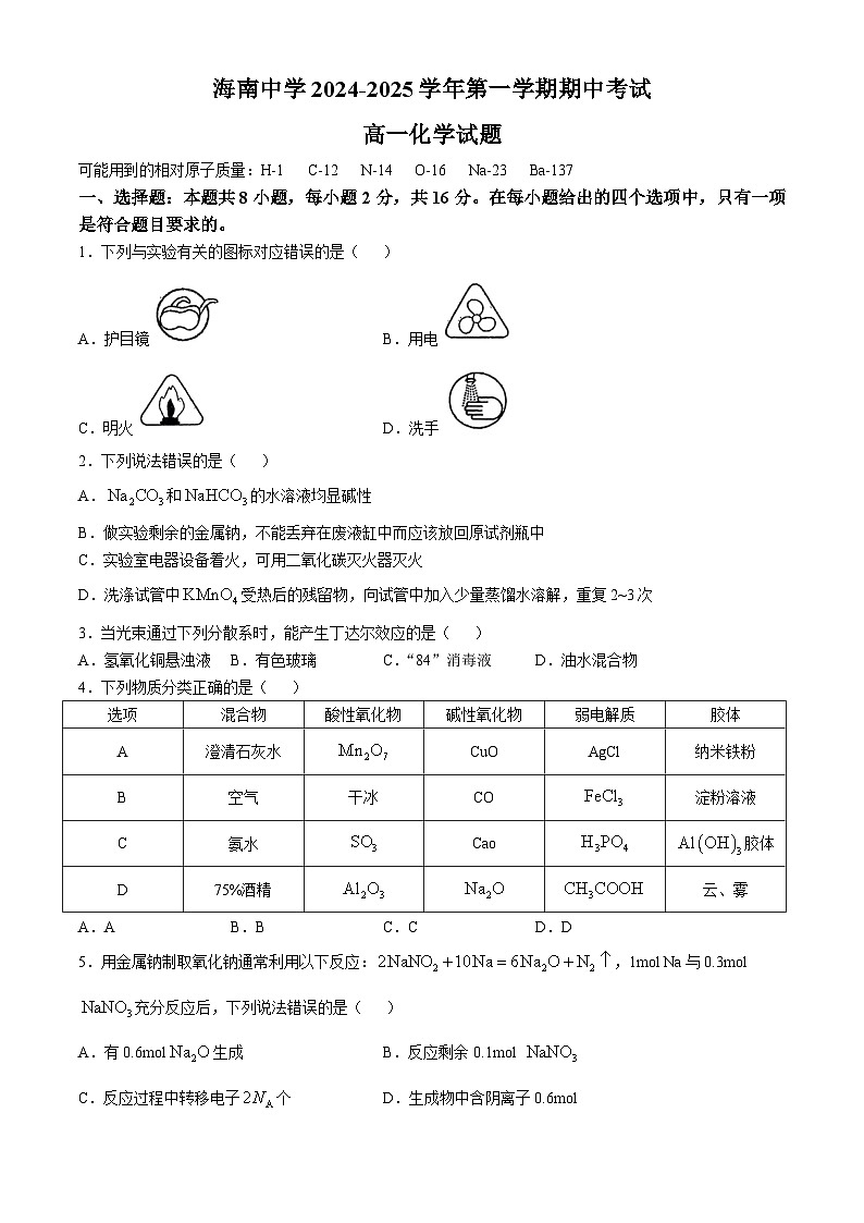 海南省海口市海南中学2024-2025学年高一上学期11月期中考试 化学试题(无答案)第1页