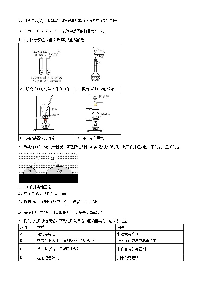 广东省深圳市高级中学2024-2025学年高二上学期期中考试化学试题第2页