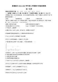 江西省景德镇市乐平市2024-2025学年高一上学期11月期中考试化学试题