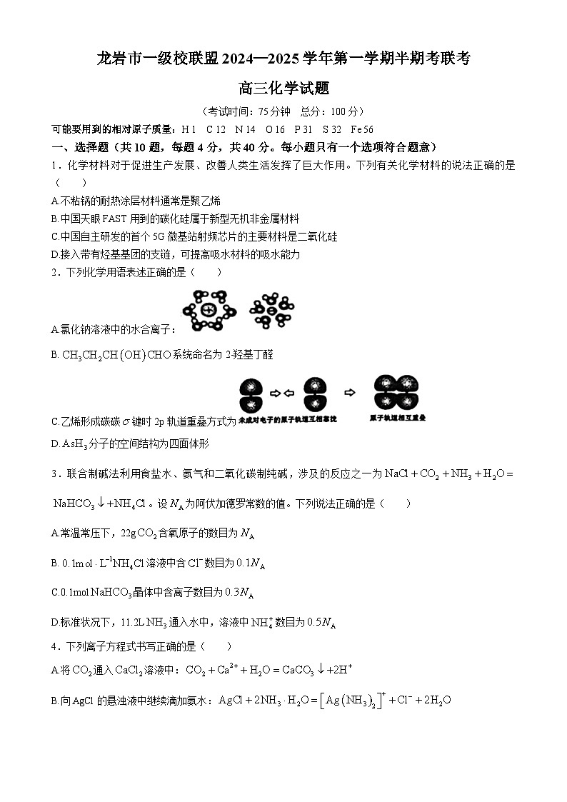 福建省龙岩一级校联盟2024-2025学年高三上学期期中考试 化学试卷第1页