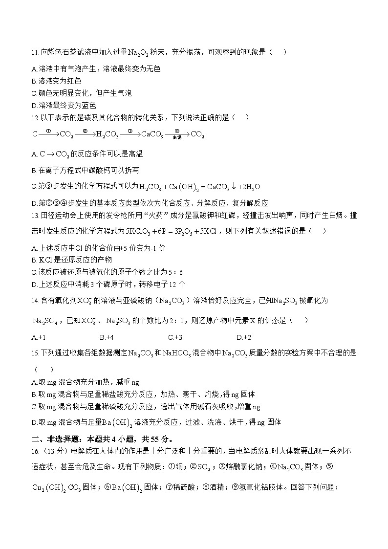 云南省曲靖民族中学2024-2025学年高一上学期期中检测 化学试题第3页