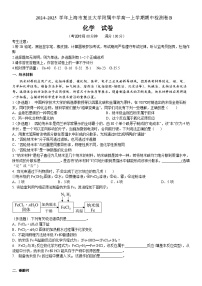 上海市复旦大学附属中学2024-2025学年高一上学期11月期中考试 化学试题