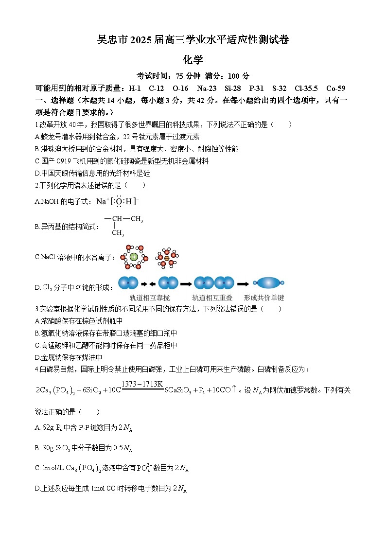 宁夏吴忠市2024-2025学年高三上学期学业水平适应性考试化学试题(含答案)第1页