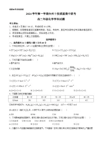 浙江省台州市十校联盟2024-2025学年高二上学期11月期中考试化学试题(含答案)