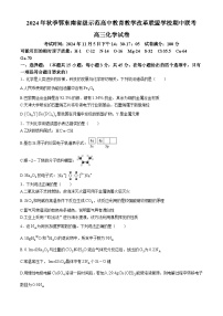 湖北省鄂东南省级示范高中教育教学改革联盟学校2024-2025学年高三上学期期中考试 化学试题