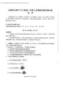 云南师范大学附属中学2024-2025学年高二上学期教学测评期中考试化学试题