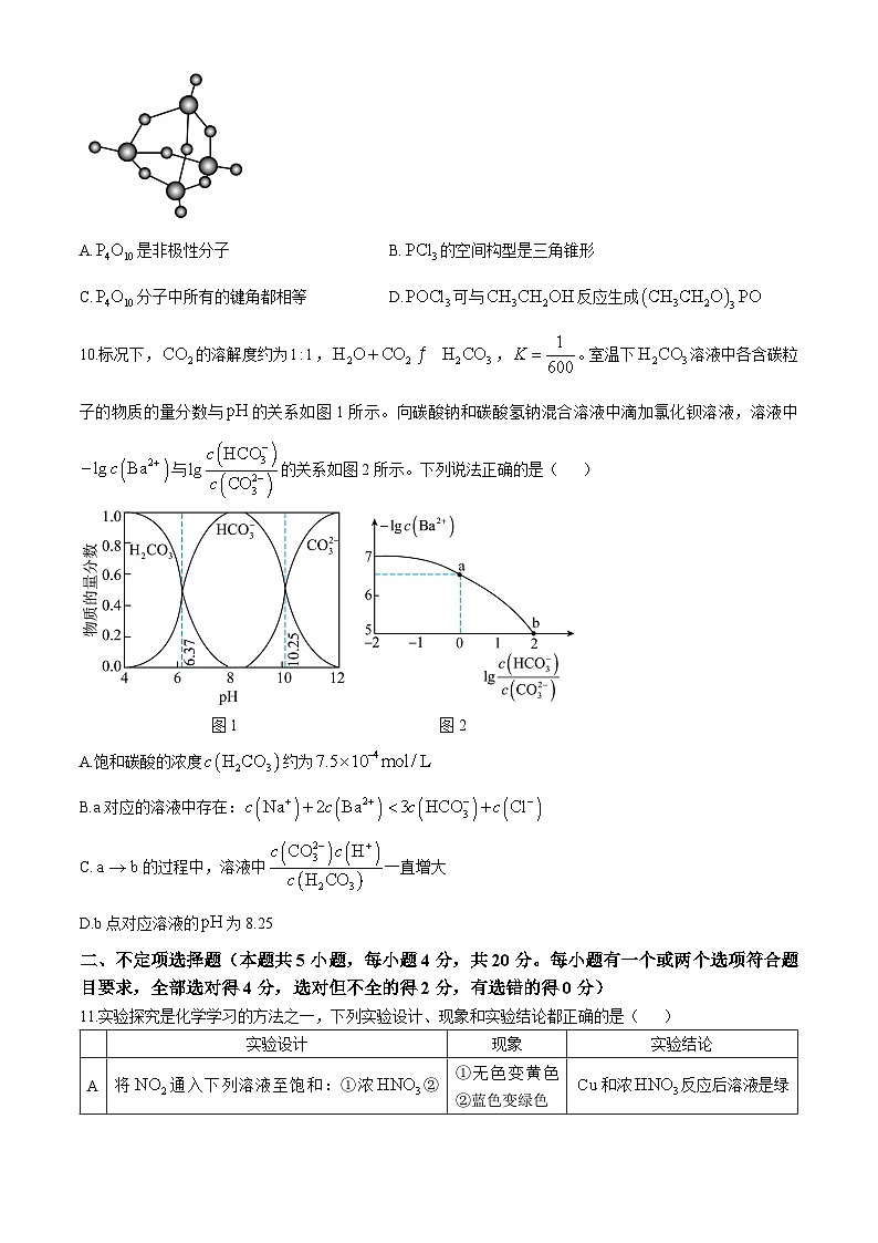 山东省青岛第十九中学2024-2025学年高三上学期期中考试 化学试题(无答案)第3页