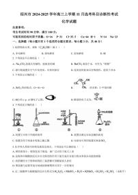 浙江省绍兴市2024～2025学年高三(上)11月选考科目诊断性考试化学试卷(含答案)