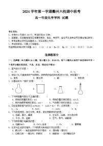 浙江省衢州六校联盟2024-2025学年高一上学期 期中联考化学试题 含答案