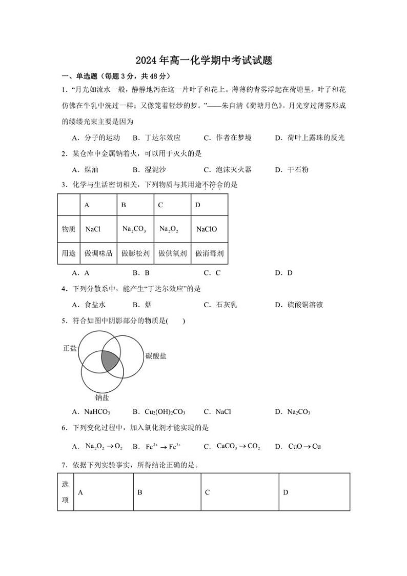 湖南省岳阳市岳阳县第一中学2024~2025学年高一(上)期中化学试卷(含答案)第1页