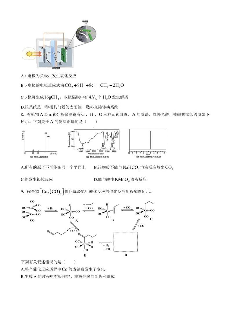 安徽省合肥市第一中学2024~2025学年高三(上)期中教学质量检测化学试卷(含答案)第3页