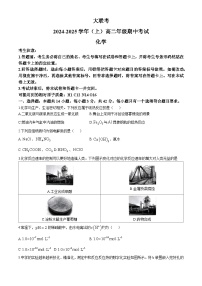 河南省部分学校大联考2024-2025学年高二上学期11月期中考试化学试卷（Word版附答案）