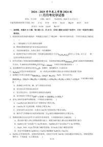 湖北省荆州市沙市中学2024～2025学年高一(上)11月月考化学试卷(含答案)
