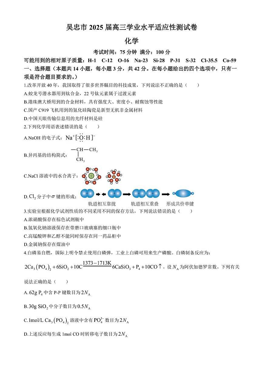 寧夏吳忠市2024～2025學(xué)年高三(上)學(xué)業(yè)水平適應(yīng)性考試化學(xué)試卷(含答案)第1頁(yè)