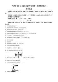 天津市部分区2024～2025学年高三(上)期中化学试卷(含答案)