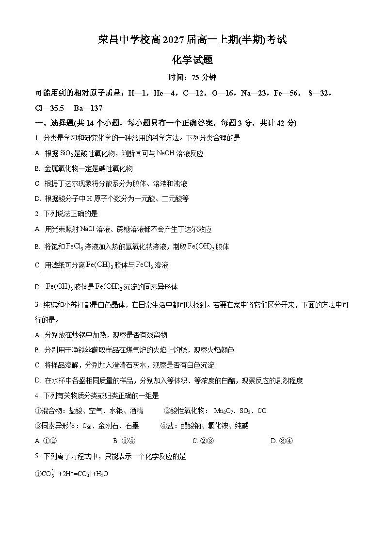 重庆市荣昌中学2024-2025学年高一上学期11月期中考试化学试题(Word版附解析)01