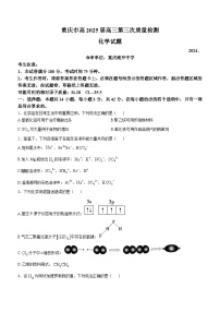 重庆市南开中学2024-2025学年高三上学期11月期中化学试题（Word版附答案）