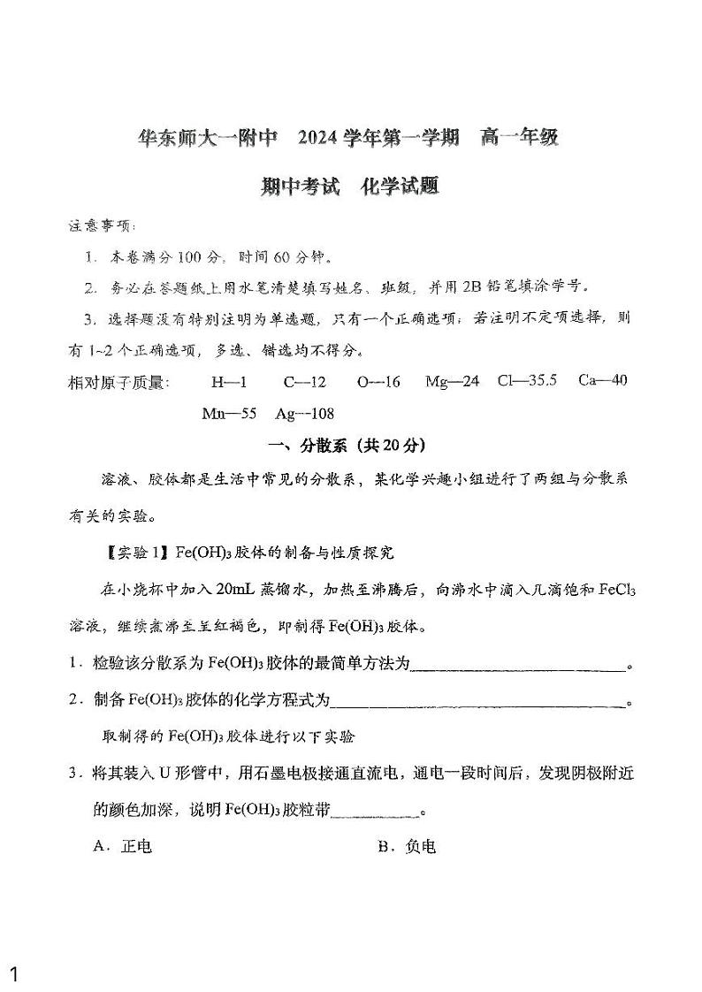 上海市华东师范大学第一附属中学2024-2025学年高一上学期期中考试+化学试题+第1页