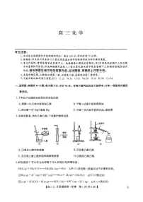 2025届九师联盟高三上学期11月期中质检化学试题+答案