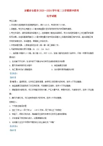 安徽省合肥市2023_2024学年高二化学上学期期中试题含解析