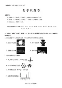 重庆市第一中学校2024-2025学年高三上学期11月期中考试化学试题