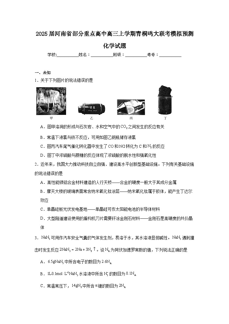 2025届河南省部分重点高中高三上学期青桐鸣大联考模拟预测化学试题第1页