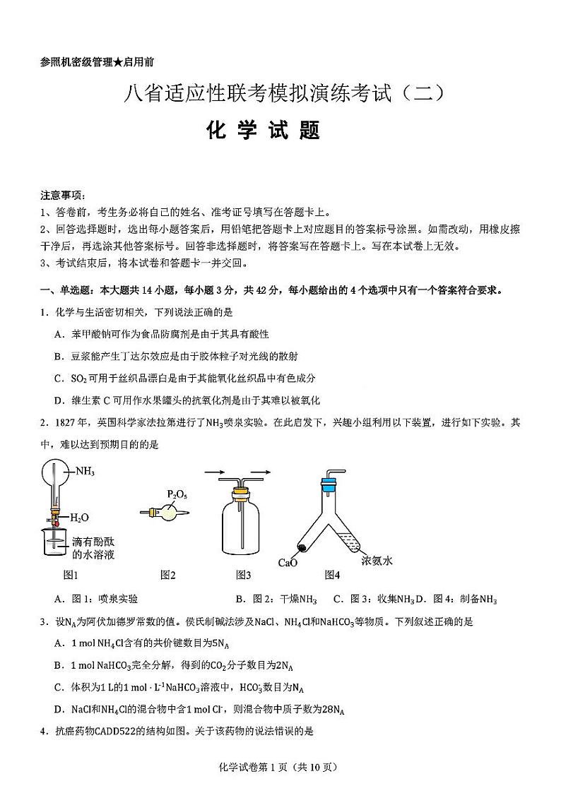 2025届八省适应性演练高三上学期11月化学试题第1页