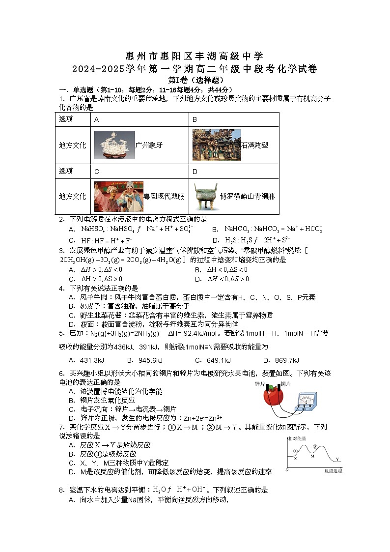 广东省惠州市惠阳区丰湖高级中学2024-2025学年高二上学期期中考试化学试题第1页