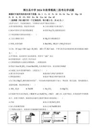 2024～2025学年广西壮族自治区玉林市博白县中学高二(上)期中化学试卷(无答案)