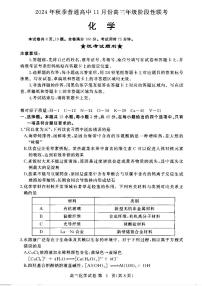 湖北省部分高中2024-2025学年高三上学期11月期中联考化学试题
