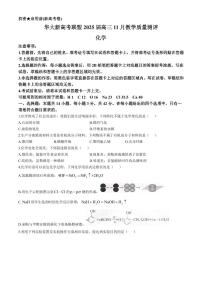 华大新高考联盟2025届高三上学期11月教学质量测评-化学试题+答案