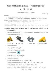 重庆市西南大学附属中学校2024-2025学年高三上学期11月阶段性检测（二）化学试题