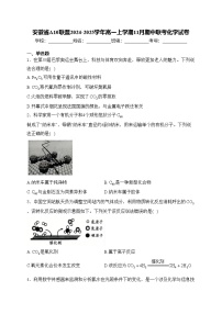 安徽省A10联盟2024-2025学年高一上学期11月期中联考化学试卷(含答案)