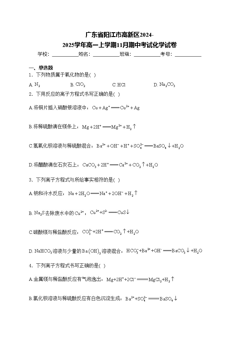 广东省阳江市高新区2024-2025学年高一上学期11月期中考试化学试卷(含答案)第1页
