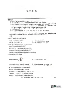 2024年九师联盟高三上学期11月 化学试题及答案