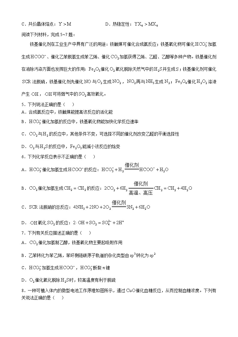 江苏省海安高级中学2024-2025学年高三上学期期中考试 化学试题(含答案)第2页