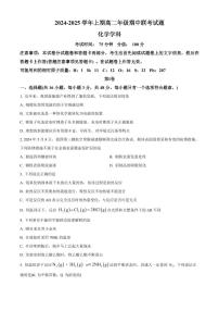 河南省郑州市十校联考2024-2025学年高二上学期11月期中联考 化学试题